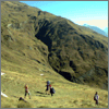 Camera Image