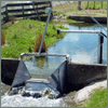 Weir Monitoring