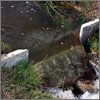 Weir Monitoring