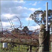 Wireless Temperature
